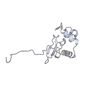 11301_6zmt_Q_v1-1
SARS-CoV-2 Nsp1 bound to a pre-40S-like ribosome complex