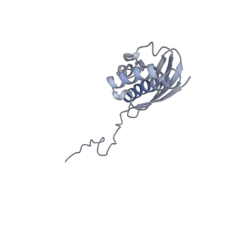 11301_6zmt_R_v1-1
SARS-CoV-2 Nsp1 bound to a pre-40S-like ribosome complex