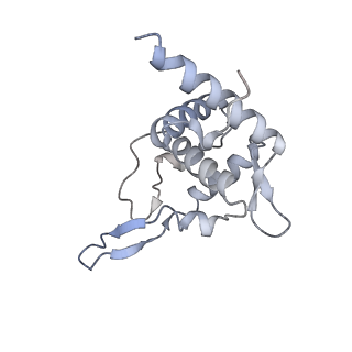 11301_6zmt_U_v1-1
SARS-CoV-2 Nsp1 bound to a pre-40S-like ribosome complex