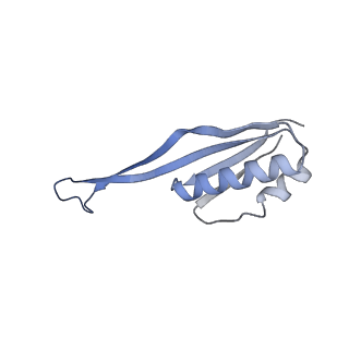 11301_6zmt_V_v1-1
SARS-CoV-2 Nsp1 bound to a pre-40S-like ribosome complex