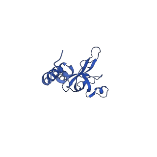 11301_6zmt_X_v1-1
SARS-CoV-2 Nsp1 bound to a pre-40S-like ribosome complex