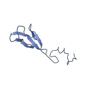 11301_6zmt_b_v1-1
SARS-CoV-2 Nsp1 bound to a pre-40S-like ribosome complex
