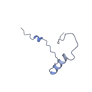 11301_6zmt_e_v1-1
SARS-CoV-2 Nsp1 bound to a pre-40S-like ribosome complex