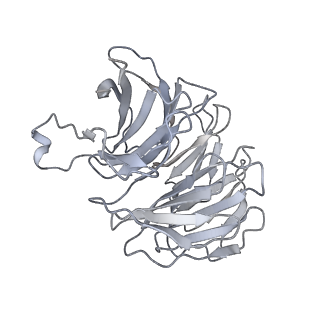 11301_6zmt_j_v1-1
SARS-CoV-2 Nsp1 bound to a pre-40S-like ribosome complex