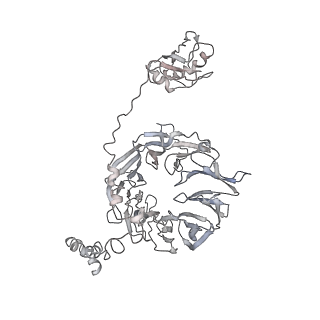 11302_6zmw_1_v1-0
Structure of a human 48S translational initiation complex