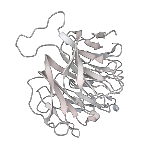 11302_6zmw_2_v1-0
Structure of a human 48S translational initiation complex