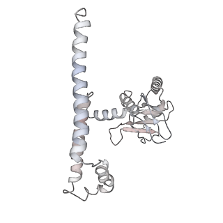 11302_6zmw_4_v1-0
Structure of a human 48S translational initiation complex