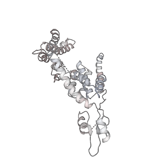 11302_6zmw_5_v1-0
Structure of a human 48S translational initiation complex