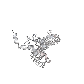 11302_6zmw_6_v1-0
Structure of a human 48S translational initiation complex