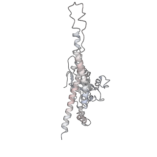 11302_6zmw_8_v1-0
Structure of a human 48S translational initiation complex
