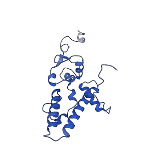 11302_6zmw_D_v1-0
Structure of a human 48S translational initiation complex