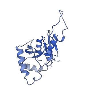 11302_6zmw_G_v1-0
Structure of a human 48S translational initiation complex