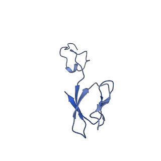 11302_6zmw_H_v1-0
Structure of a human 48S translational initiation complex