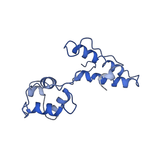 11302_6zmw_I_v1-0
Structure of a human 48S translational initiation complex