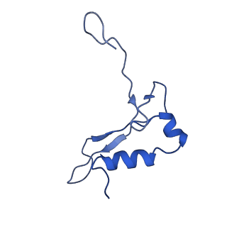 11302_6zmw_K_v1-0
Structure of a human 48S translational initiation complex