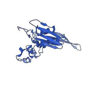 11302_6zmw_L_v1-0
Structure of a human 48S translational initiation complex