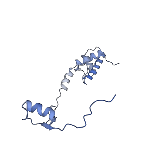 11302_6zmw_M_v1-0
Structure of a human 48S translational initiation complex