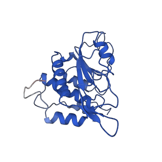 11302_6zmw_N_v1-0
Structure of a human 48S translational initiation complex