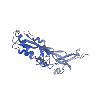 11302_6zmw_O_v1-0
Structure of a human 48S translational initiation complex