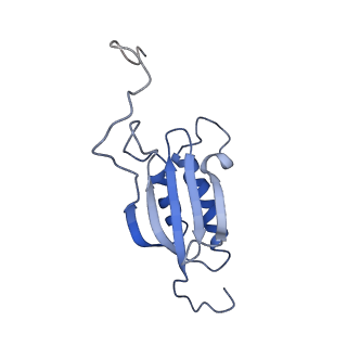 11302_6zmw_P_v1-0
Structure of a human 48S translational initiation complex