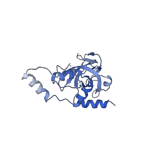 11302_6zmw_R_v1-0
Structure of a human 48S translational initiation complex