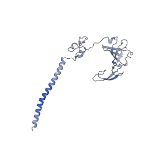 11302_6zmw_S_v1-0
Structure of a human 48S translational initiation complex