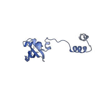11302_6zmw_T_v1-0
Structure of a human 48S translational initiation complex