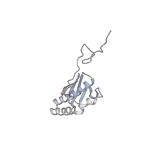 11302_6zmw_Y_v1-0
Structure of a human 48S translational initiation complex