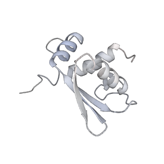 11302_6zmw_a_v1-0
Structure of a human 48S translational initiation complex