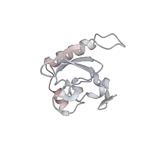 11302_6zmw_b_v1-0
Structure of a human 48S translational initiation complex