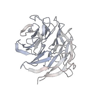 11302_6zmw_c_v1-0
Structure of a human 48S translational initiation complex