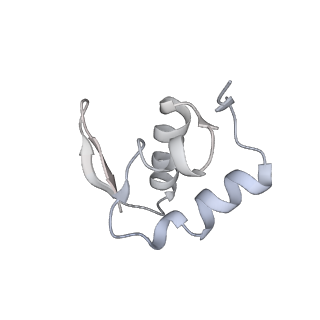 11302_6zmw_e_v1-0
Structure of a human 48S translational initiation complex