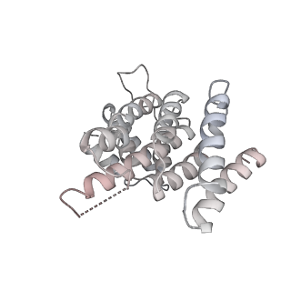 11302_6zmw_g_v1-0
Structure of a human 48S translational initiation complex