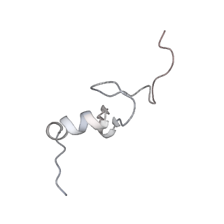11302_6zmw_i_v1-0
Structure of a human 48S translational initiation complex
