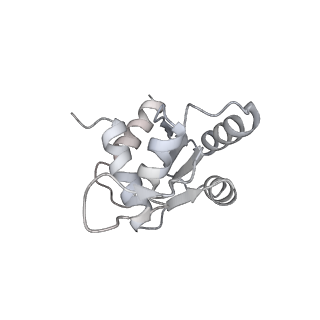 11302_6zmw_m_v1-0
Structure of a human 48S translational initiation complex