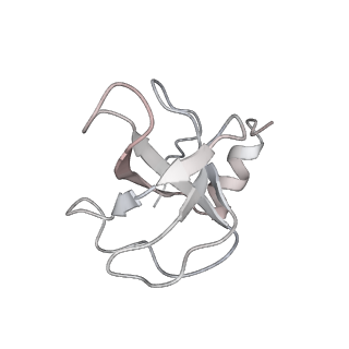 11302_6zmw_q_v1-0
Structure of a human 48S translational initiation complex