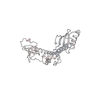 11302_6zmw_r_v1-0
Structure of a human 48S translational initiation complex