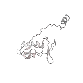 11302_6zmw_s_v1-0
Structure of a human 48S translational initiation complex