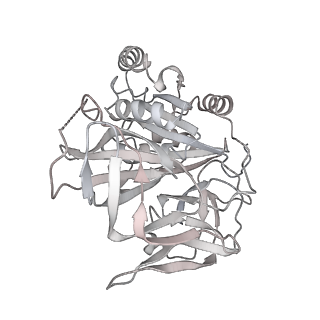 11302_6zmw_t_v1-0
Structure of a human 48S translational initiation complex
