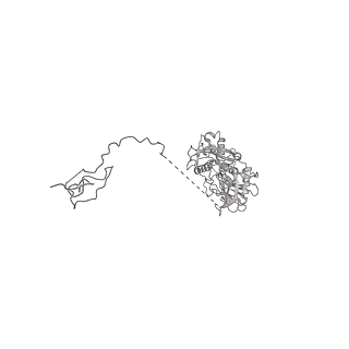 11302_6zmw_x_v1-0
Structure of a human 48S translational initiation complex