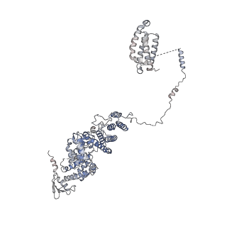11302_6zmw_y_v1-0
Structure of a human 48S translational initiation complex