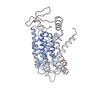 14791_7zm7_1_v1-1
CryoEM structure of mitochondrial complex I from Chaetomium thermophilum (inhibited by DDM)