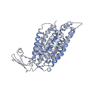 14791_7zm7_2_v1-1
CryoEM structure of mitochondrial complex I from Chaetomium thermophilum (inhibited by DDM)