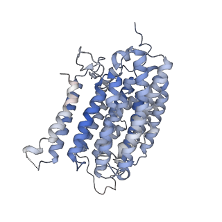 14791_7zm7_4_v1-1
CryoEM structure of mitochondrial complex I from Chaetomium thermophilum (inhibited by DDM)
