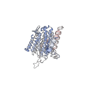 14791_7zm7_5_v1-1
CryoEM structure of mitochondrial complex I from Chaetomium thermophilum (inhibited by DDM)