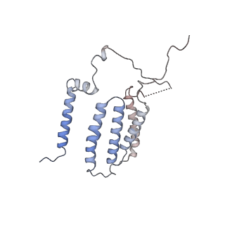14791_7zm7_6_v1-1
CryoEM structure of mitochondrial complex I from Chaetomium thermophilum (inhibited by DDM)
