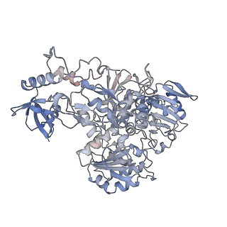 14791_7zm7_A_v1-1
CryoEM structure of mitochondrial complex I from Chaetomium thermophilum (inhibited by DDM)