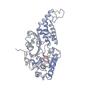 14791_7zm7_B_v1-1
CryoEM structure of mitochondrial complex I from Chaetomium thermophilum (inhibited by DDM)
