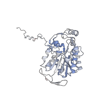 14791_7zm7_E_v1-1
CryoEM structure of mitochondrial complex I from Chaetomium thermophilum (inhibited by DDM)