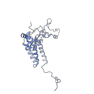 14791_7zm7_F_v1-1
CryoEM structure of mitochondrial complex I from Chaetomium thermophilum (inhibited by DDM)